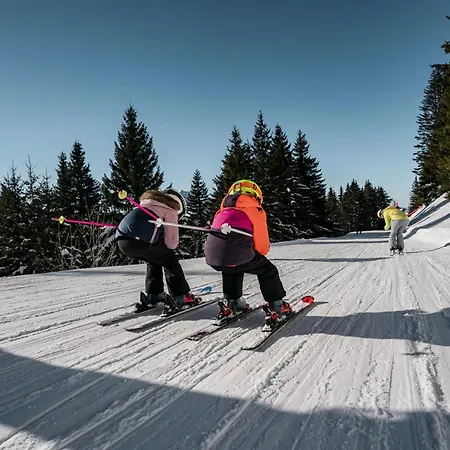 Confortable Pour 3 Pers. A Avec Parking - Fr-1-676-214 Chatel